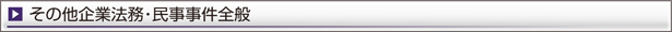 その他企業法務・民事事件全般